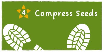 Compress Seeds