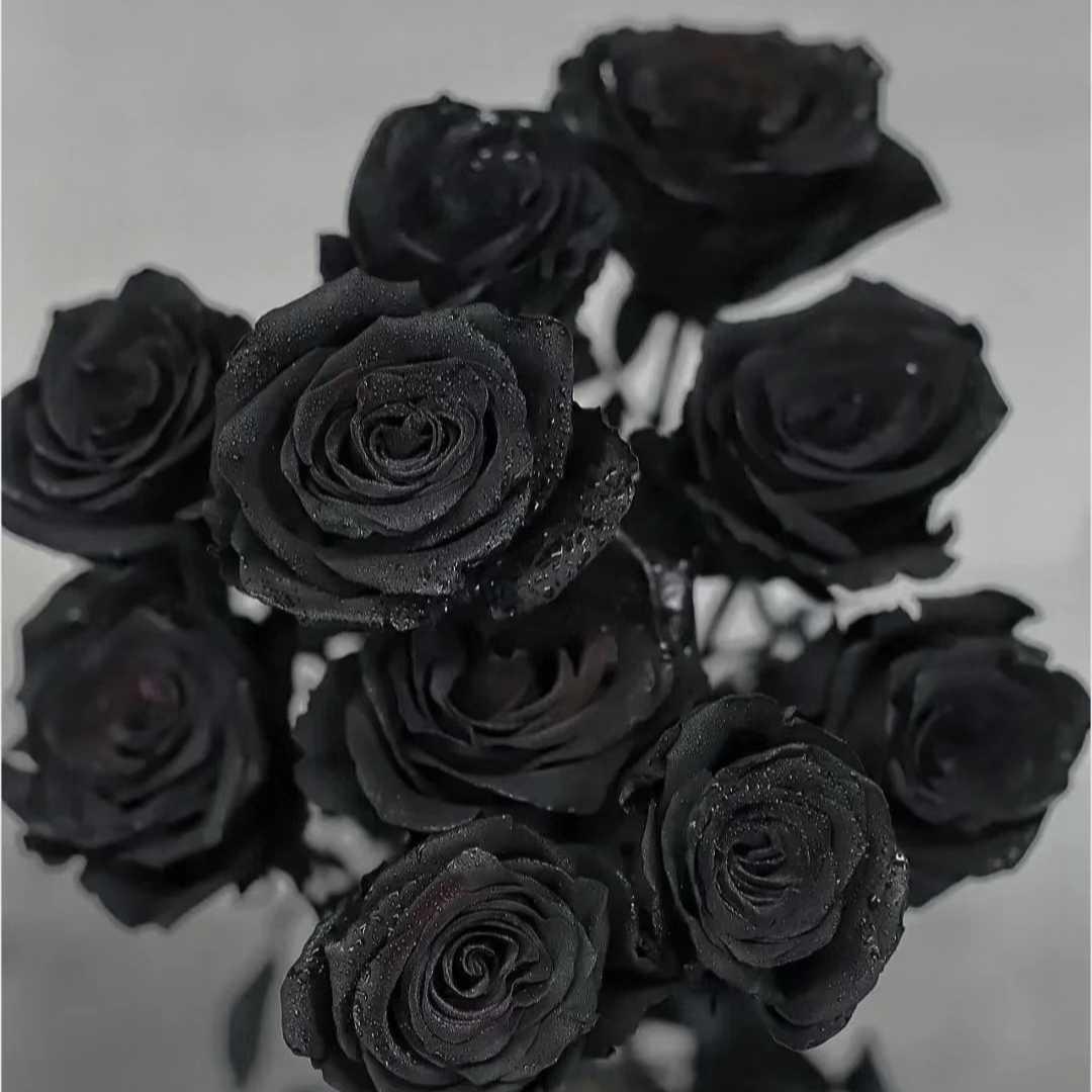 Rare Black Rose Seeds