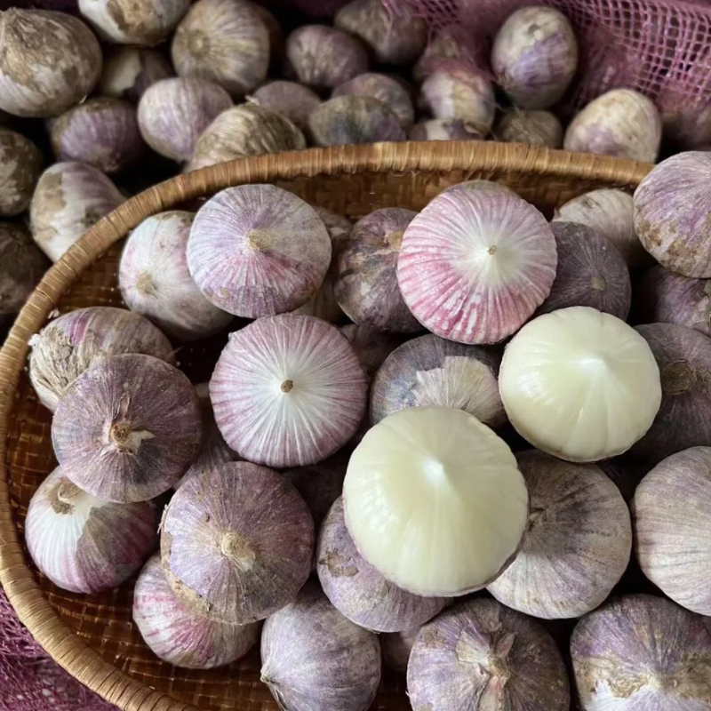 🧄Lila Knoblauch: Gesunde Zwiebeln ohne GVO
