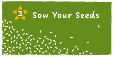 Sow Your Seeds