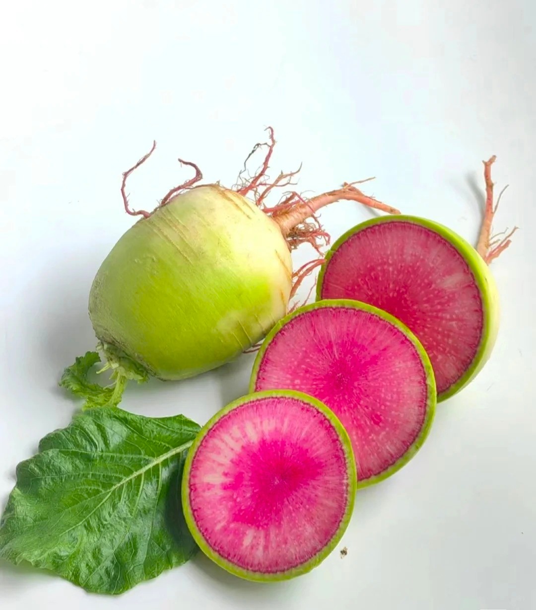 Radish Watermelon Seeds
