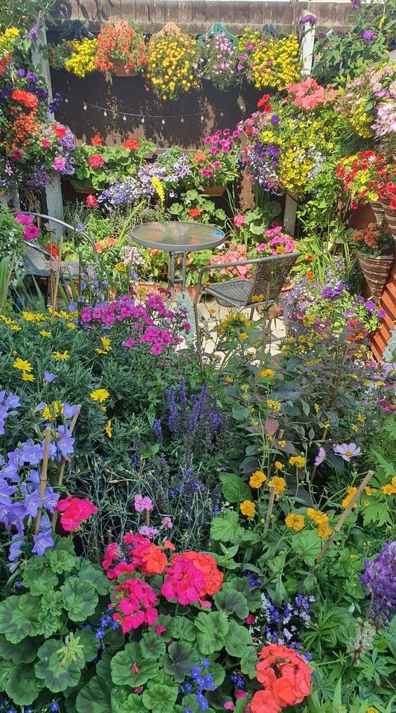 Mixed Perennial Flowers Seeds-Over 60 kinds mixed