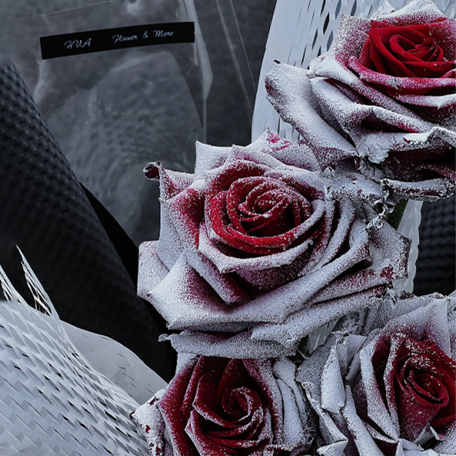 ❄️Falling Snow Thorns Red Rose Seeds