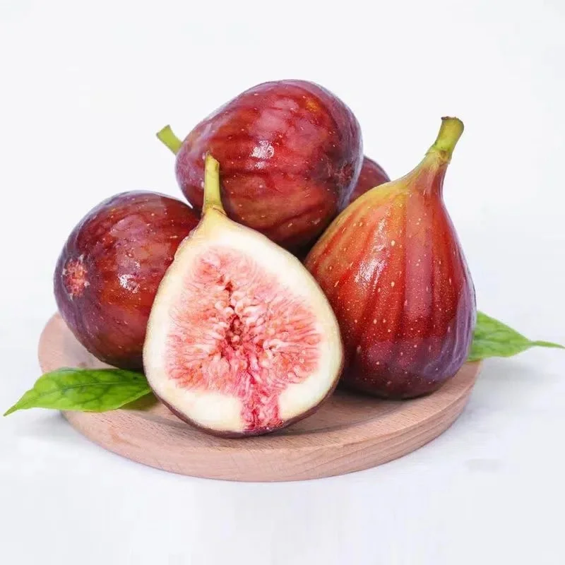 Fig Tree Seeds (Ficus carica), Sweet Fruit Shrub