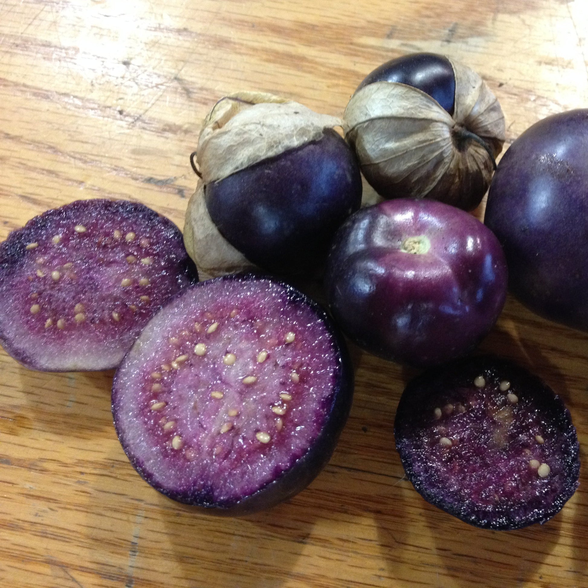 Purple Tomatillo Seeds - Non GMO