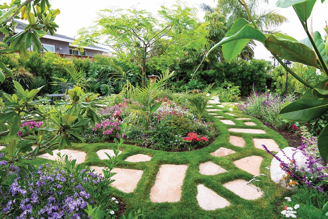 5000 Irish Moss Seeds, Sagina Subulata, Pearlwort, Ground Cover SS015M -  Etsy Canada