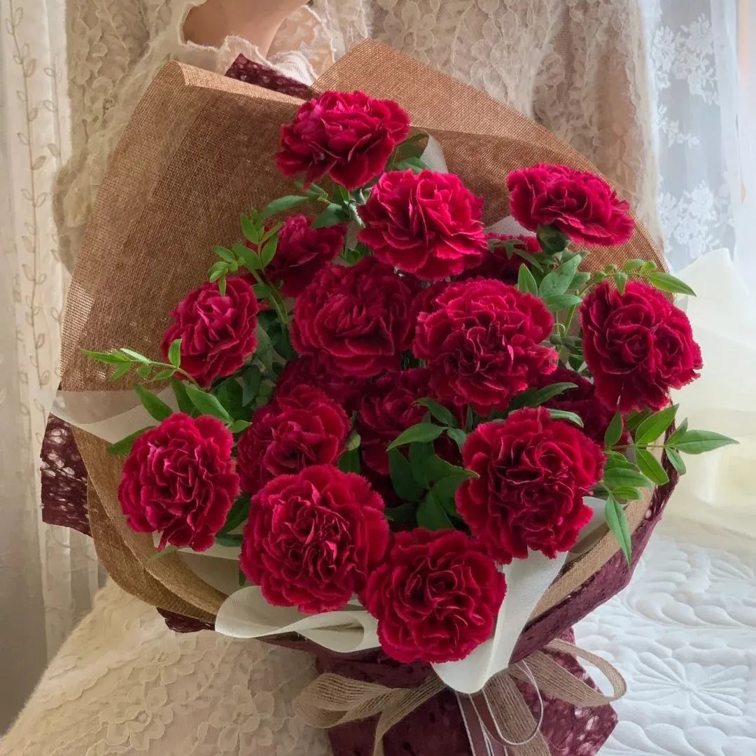 Multicolor Carnation Seeds