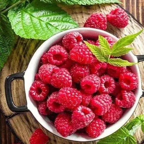 Everbearing Raspberry Organic Natural Seeds