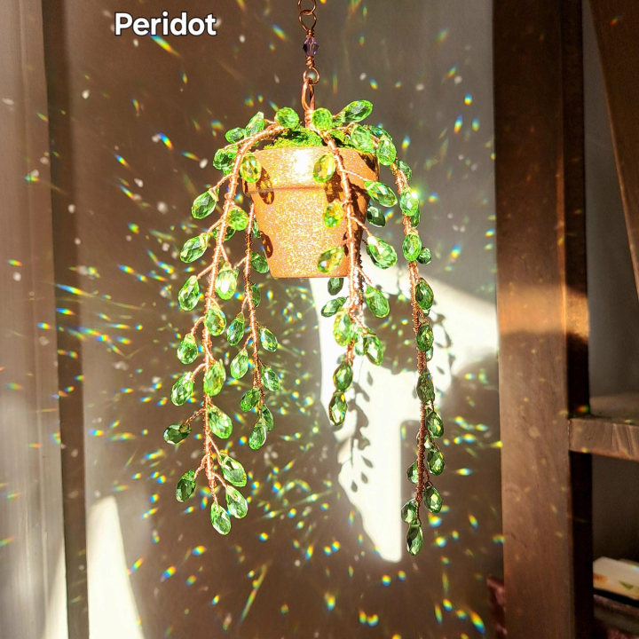 Suncatcher String of Pearls Plant Hanging