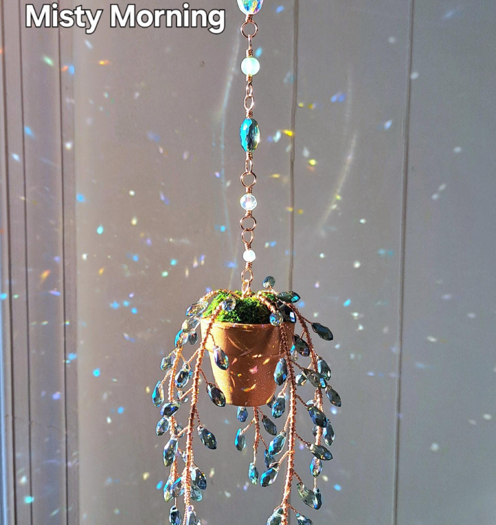 Suncatcher String of Pearls Plant Hanging