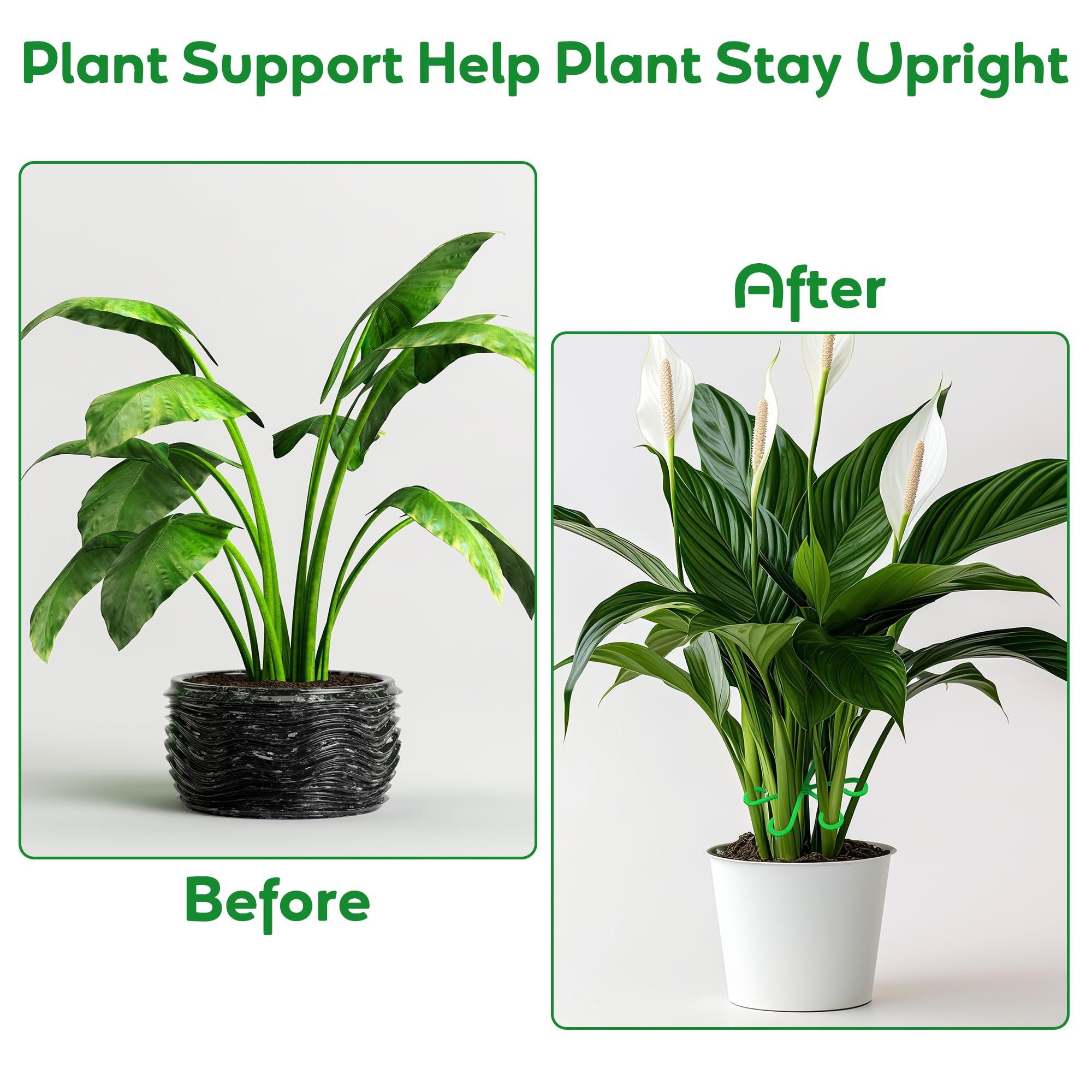 🔥🌿Plant Stem Support Set