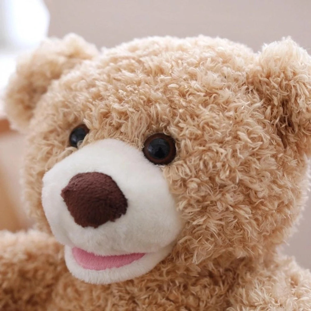 🐻Peek-A-Boo Bear👶