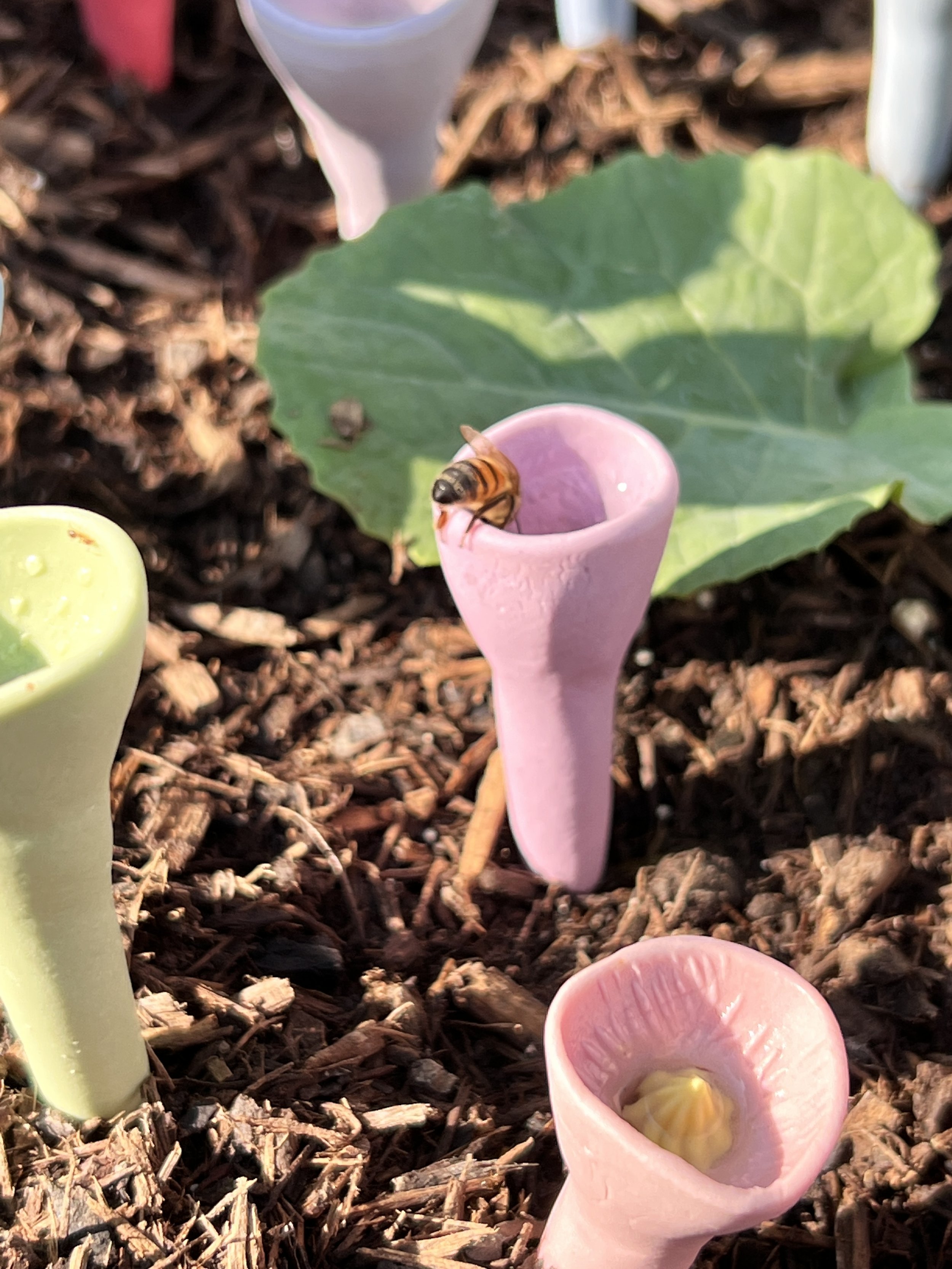 Bee Insect Drinking Cup 5-pack