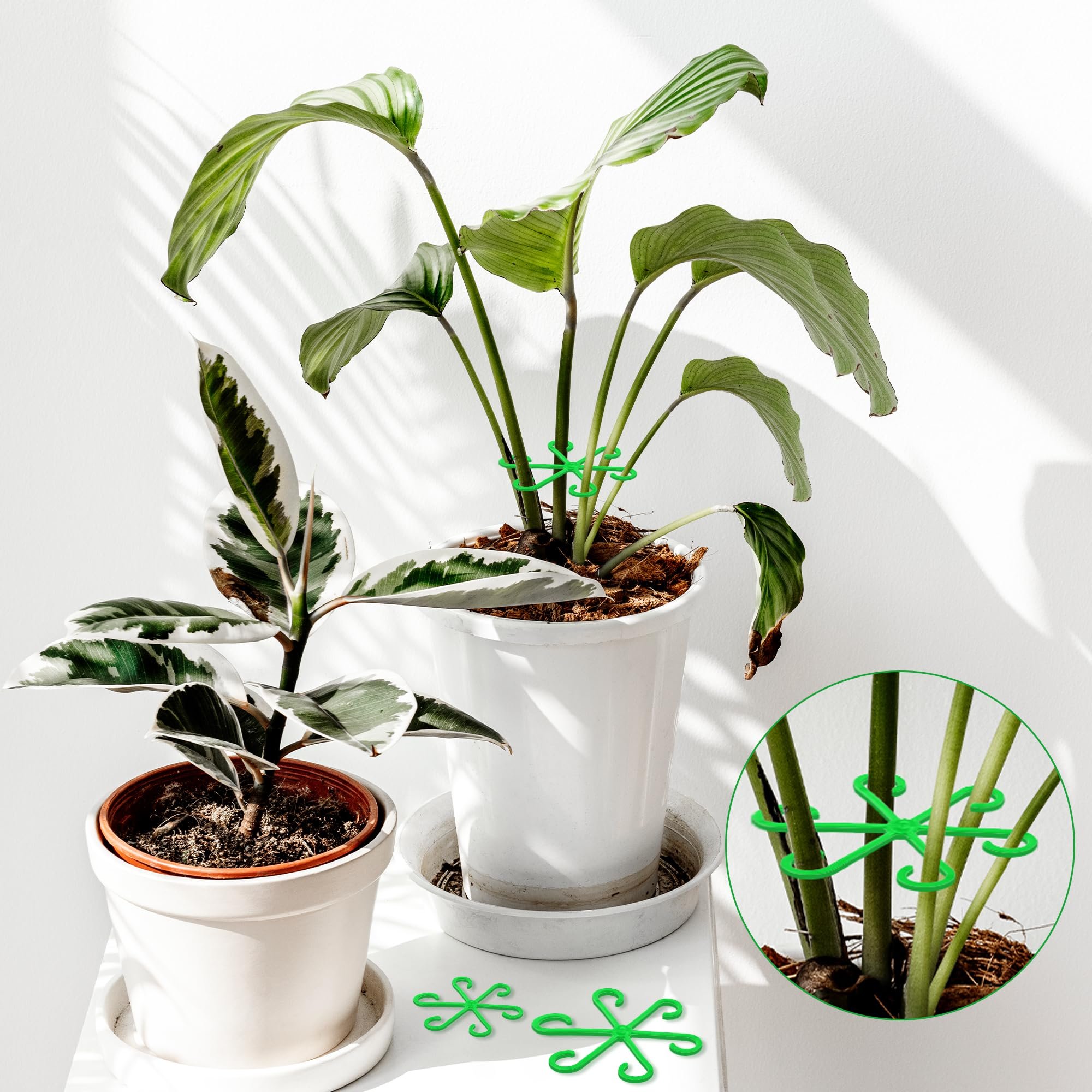 🔥🌿Plant Stem Support Set