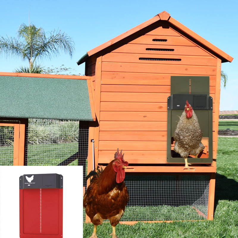 🎉Automatic Chicken Coop Door🎉