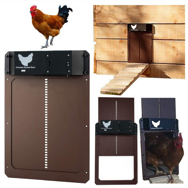 🎉Automatic Chicken Coop Door🎉