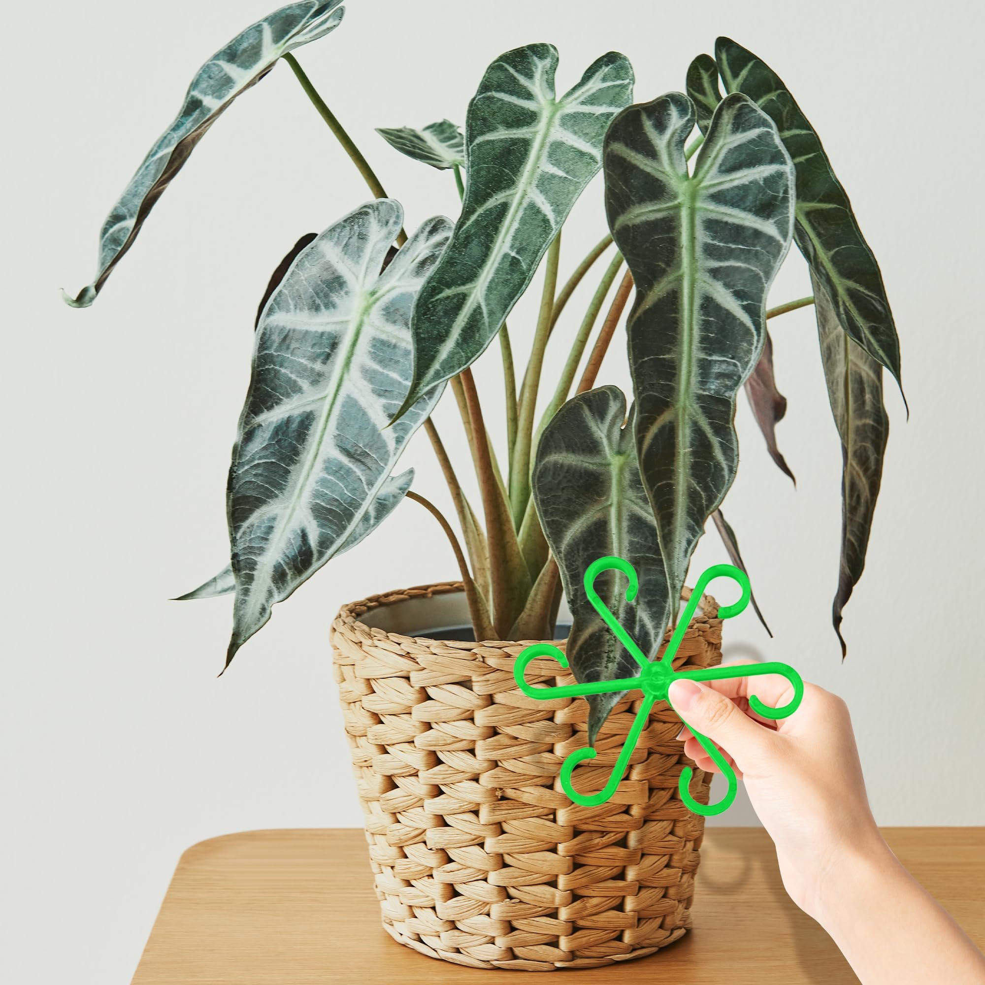 🔥🌿Plant Stem Support Set