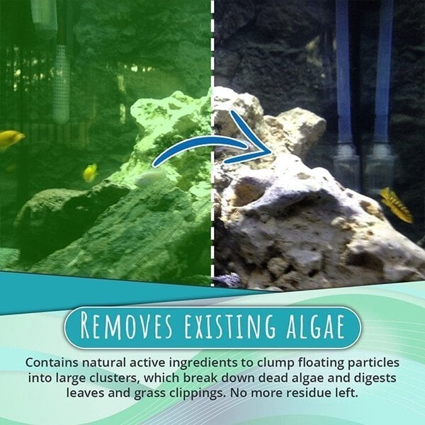 (2024 New Year Hot Sale)  49% OFF - NEW Algae Repellent Agent