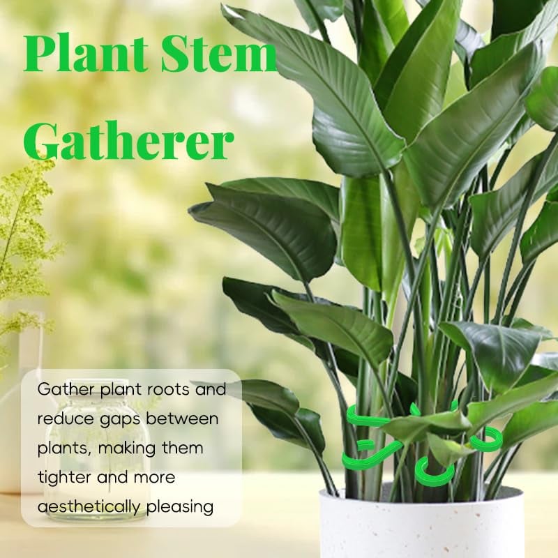 🔥🌿Plant Stem Support Set