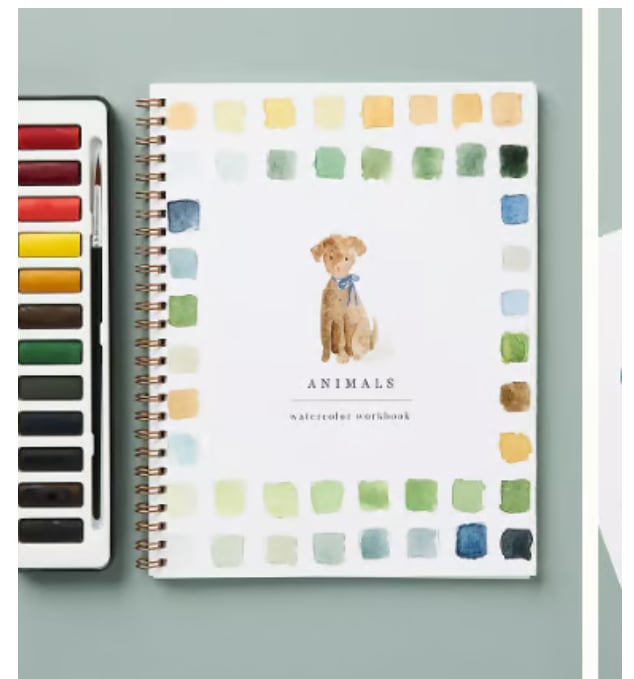 🖼️Beginner-Friendly💕 Watercolor Workbook