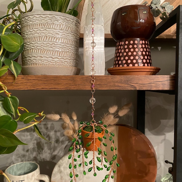 Suncatcher String of Pearls Plant Hanging