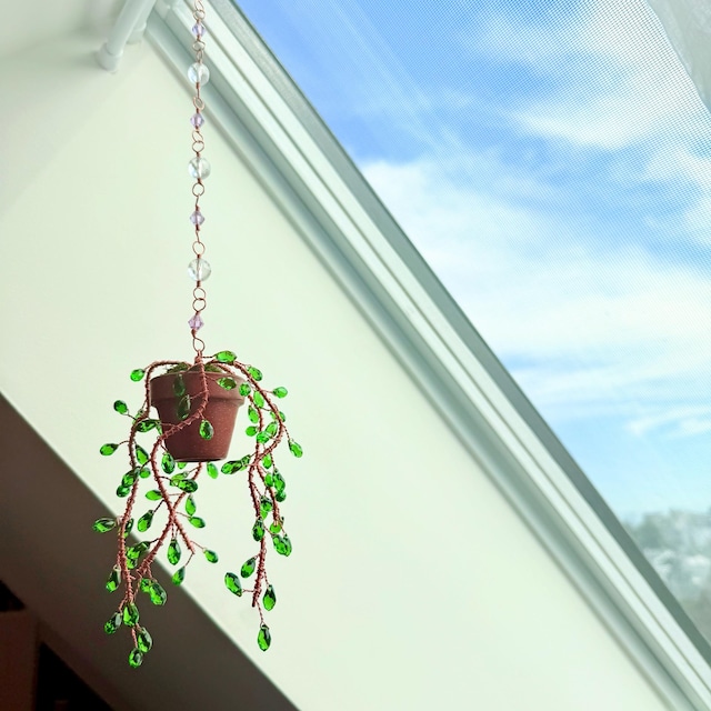 Suncatcher String of Pearls Plant Hanging