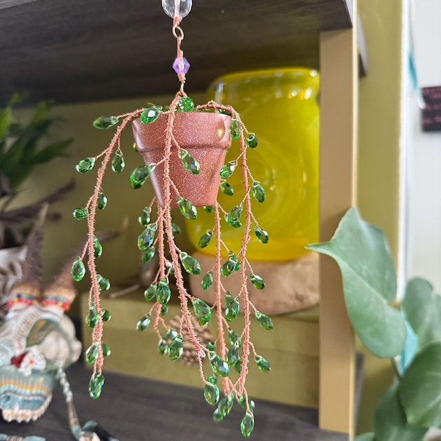 Suncatcher String of Pearls Plant Hanging