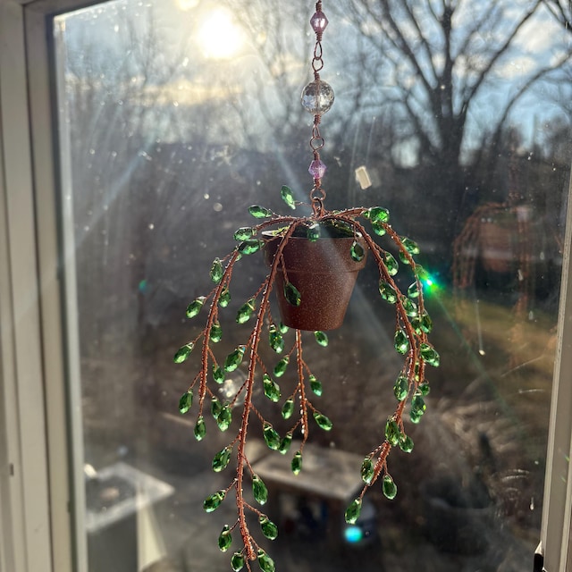 Suncatcher String of Pearls Plant Hanging