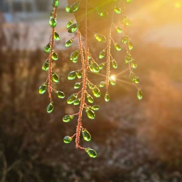 Suncatcher String of Pearls Plant Hanging