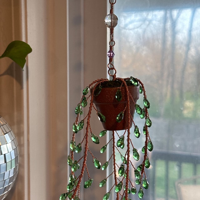 Suncatcher String of Pearls Plant Hanging