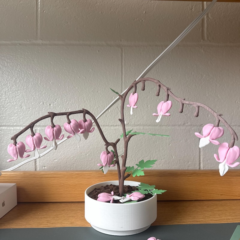 3D Printed Bleeding Hearts Jewelry Box – Unique Organizer for Jewelry or Keepsakes