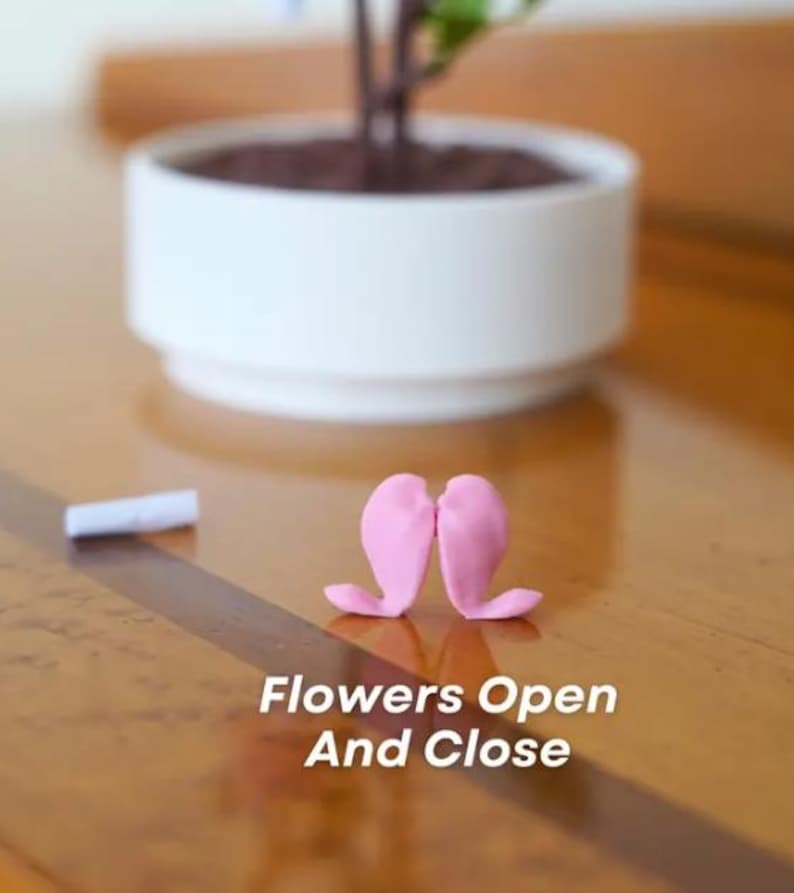 3D Printed Bleeding Hearts Jewelry Box – Unique Organizer for Jewelry or Keepsakes