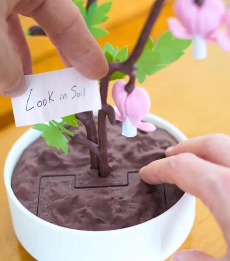 3D Printed Bleeding Hearts Jewelry Box – Unique Organizer for Jewelry or Keepsakes