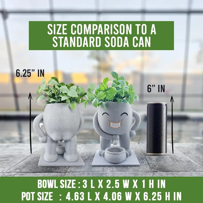 Funny Succulent Pots, Gardening Gift, Flower Pots, Hilarious Housewarming Gag Gift for Plant Lovers, Office Gift & Home Decor