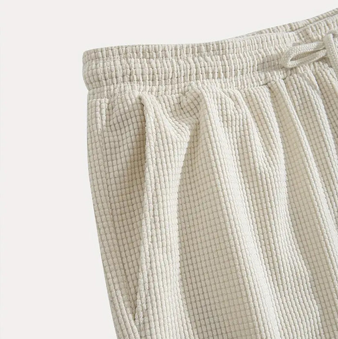 ELEGANT MEN'S SHORTS
