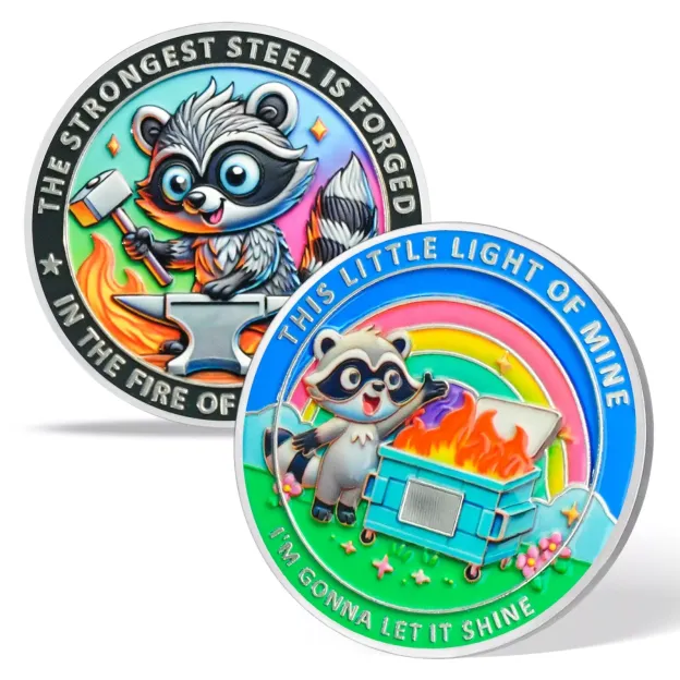 Inspirational Dumpster Fire Raccoon Coin-Resilience &Hope-Gift for Keep Going