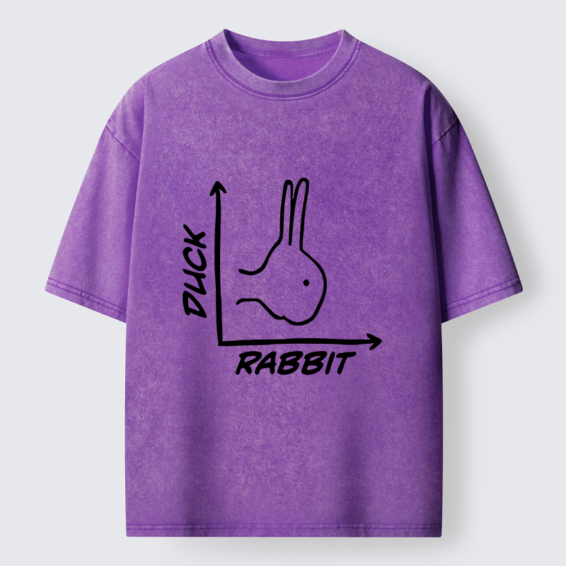 Rabbit Or Duck Funny Washed T-Shirt