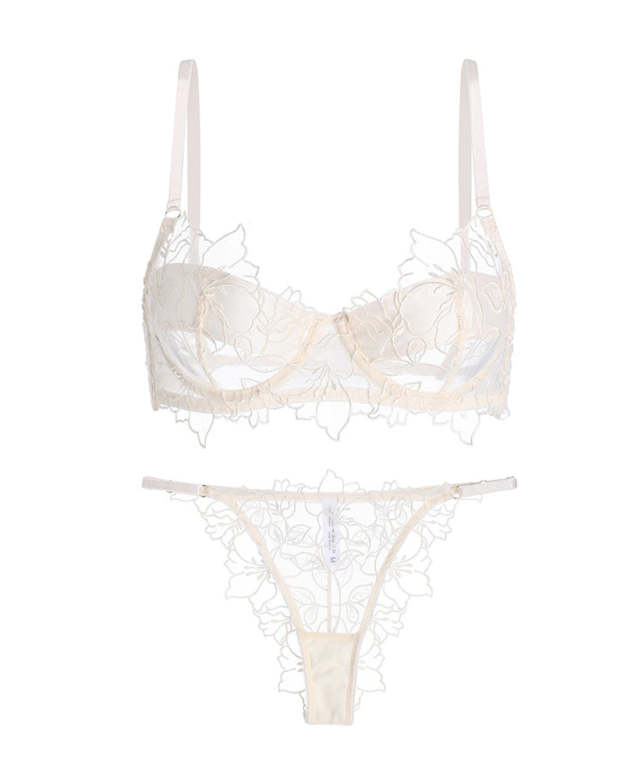Sexy Floral Embroidered Lace See-through Mesh Bra and Briefs Set