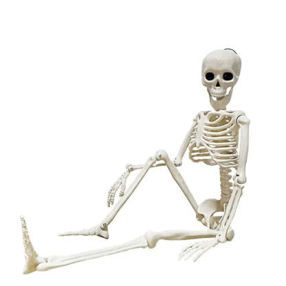 Halloween Skeleton-AstyleStore