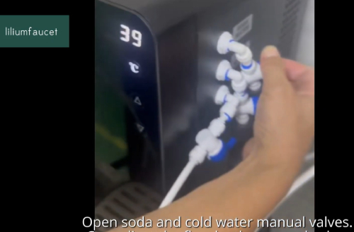 How to Set Up an Under-Sink Sparkling Water Dispenser: CO₂ Pressure, Water Flow & Troubleshooting