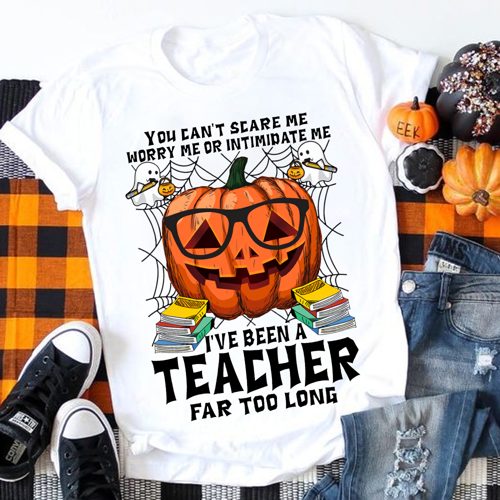 I've Been A Teacher Far Too Long T-Shirt