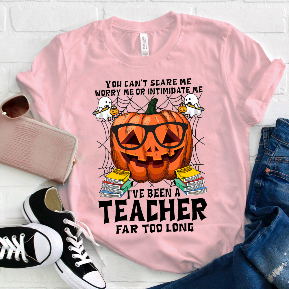 I've Been A Teacher Far Too Long T-Shirt