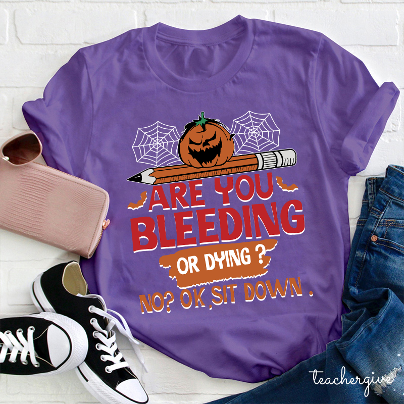 No Ok Sit Down Teacher T-Shirt
