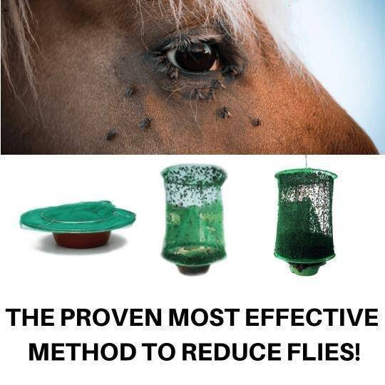 50% OFF TODAY ONLY - Reusable Ranch Fly Trap
