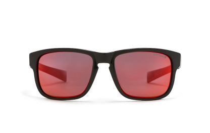 Carnac RSF SE Sunglasses / Gloss Black / Black Red Revo