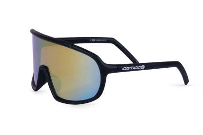 Carnac Para Sunglasses / Matt Black Frame & Gold Revo Lens-Planet X