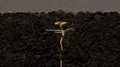 ��ƽ��������&zeta;��ֻ���⼸����ܳԵ���_�ֻ��Ѻ���