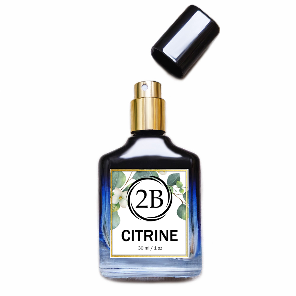 Aventus - Inspired Alternative Perfume 30ml