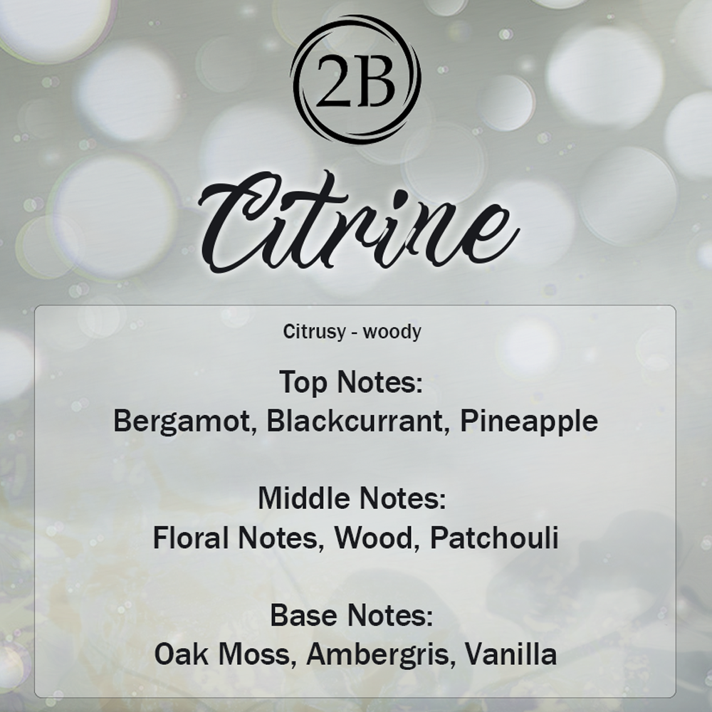 Aventus - Inspired Alternative Perfume 2