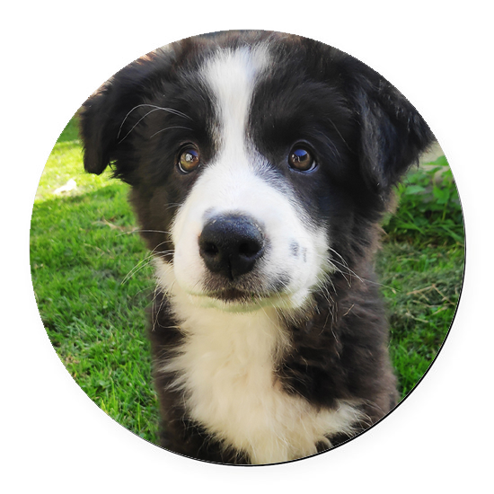 Personalised Photo Coaster Round 9 cm